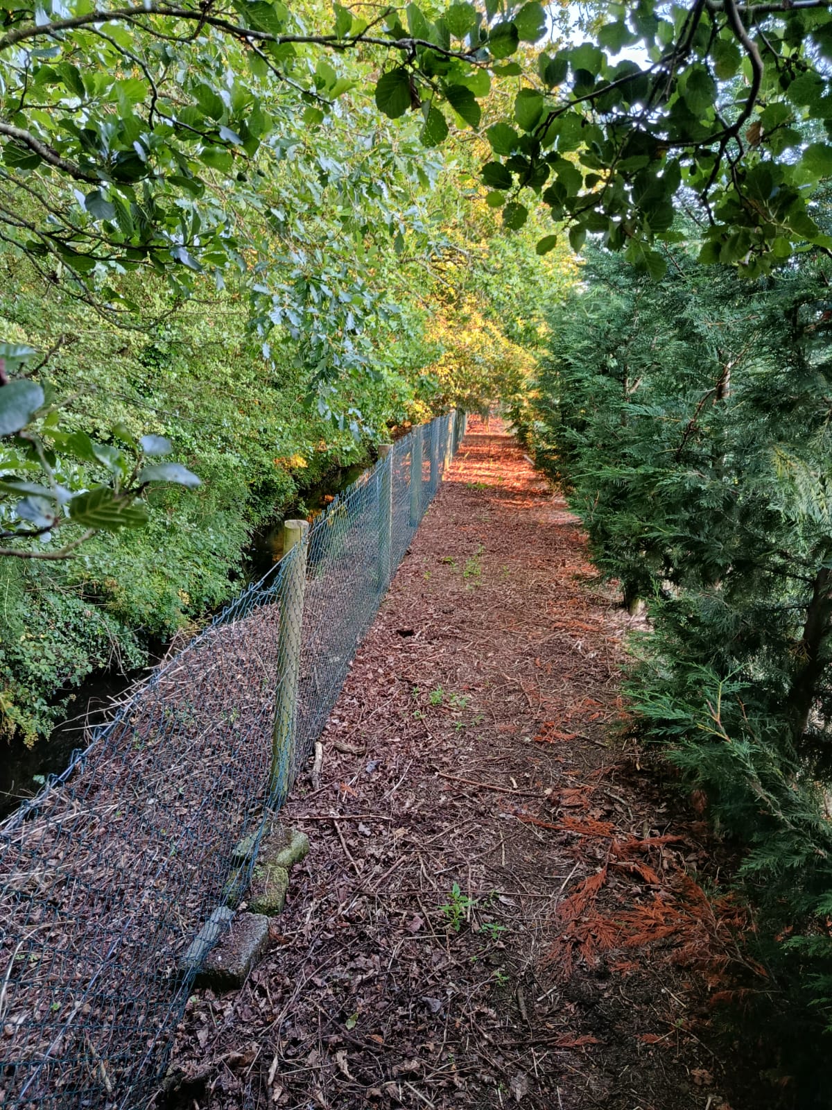 Stream walkway