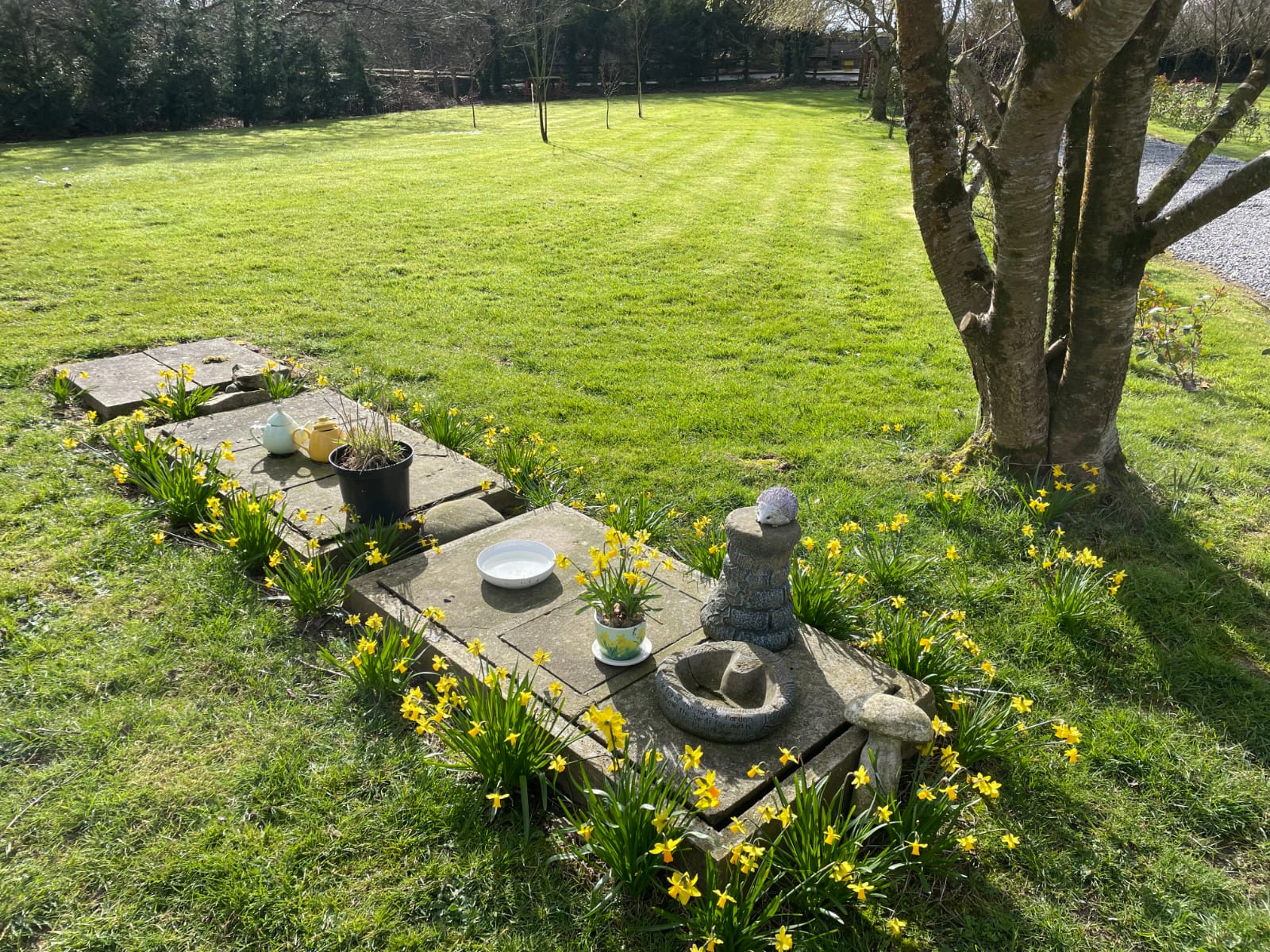 Front garden